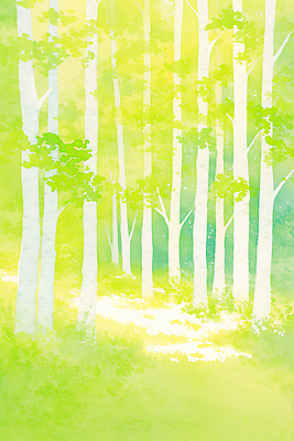 JPG 나무 일러스트 자연 생명 조명 풍경 초록색 연두색 여름 파란색 햇빛 평화 산책 공백 숲 숲길 목가 국내일러스트 AI일러스트 AI콘텐츠 식물 계절 길 컬러 컨셉 휴식 태양 생태계 파일형식