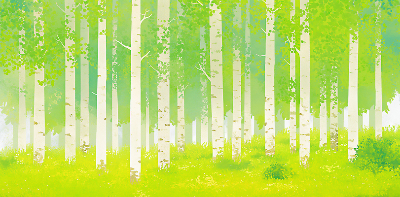JPG 나무 식물 일러스트 자연 생명 날씨 초원 초록색 여름 환경 신선 숲 생태계 자작나무 뷰티풀 평면 국내일러스트 계절 컬러 파일형식
