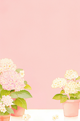 JPG 식물 응시 꽃 화분 화초 분홍색 컬러 백그라운드 일러스트 자연 실내 장식 인테리어 정원 성장 흰색 식물원 정리 가꾸기 플로리스트 국내일러스트 AI일러스트 AI콘텐츠 직업 디자인 시선 내부 생태계 파일형식