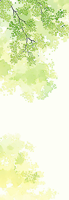 JPG 모양 나무 식물 컬러 백그라운드 잎 일러스트 자연 생명 풍경 초록색 여름 햇빛 환경 공간 성장 그림 생태계 조화 가벼움 국내일러스트 계절 태양 무게 파일형식