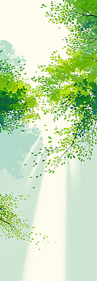 JPG 나무 일러스트 자연 생명 휴식 나뭇잎 풍경 초록색 여름 빛 햇빛 환경 소리 산책 공간 숲 나무그늘 국내일러스트 AI일러스트 AI콘텐츠 식물 계절 컬러 컨셉 잎 태양 그늘 생태계 파일형식