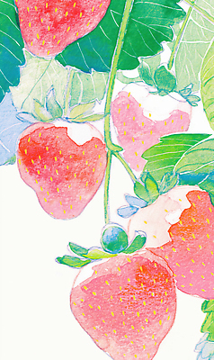 JPG 식물 열매 컬러 농업 채소 과일 일러스트 자연 생명 딸기 건강 여름 농장 정원 농사 수확 성장 자르기 즐거움 국내일러스트 AI일러스트 AI콘텐츠 계절 감정 산업 모션 생태계 파일형식