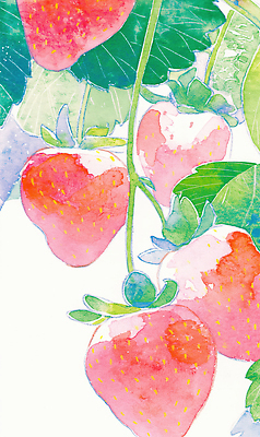 JPG 식물 꽃 줄기 잎 농업 과일 일러스트 자연 딸기 초록색 여름 햇빛 농장 수확 성장 거름 가지치기 국내일러스트 AI일러스트 AI콘텐츠 계절 산업 컬러 태양 생태계 원예 파일형식