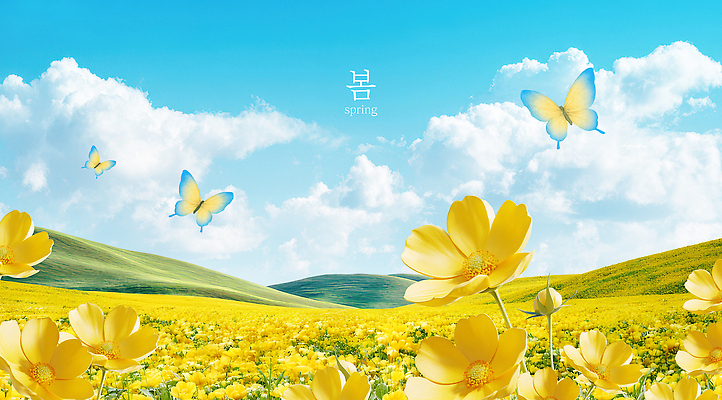 PSD 편집이미지 공원 꽃 화초 나비 자연 하늘 생명 산 풍경 초원 노란색 봄 이미지편집 식물 계절 공공시설 컬러 곤충 생태계 파일형식