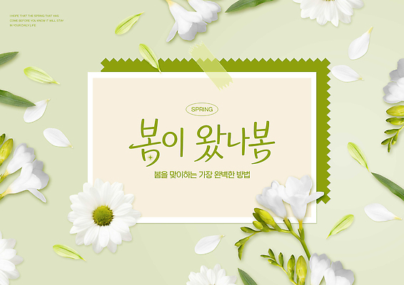 식물 편집이미지 계절 컨셉 생태계 파일형식 봄 꽃 백그라운드 화사함 메시지 컬러 자연 디자인 분위기 생명 화초 장식 잎 이미지편집 PSD
