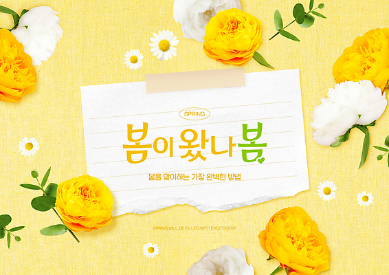 식물 편집이미지 계절 컬러 컨셉 생태계 파일형식 봄 꽃 노란색 백그라운드 장식 화사함 시작 자연 의식 기술 디자인 이벤트 이미지편집 PSD