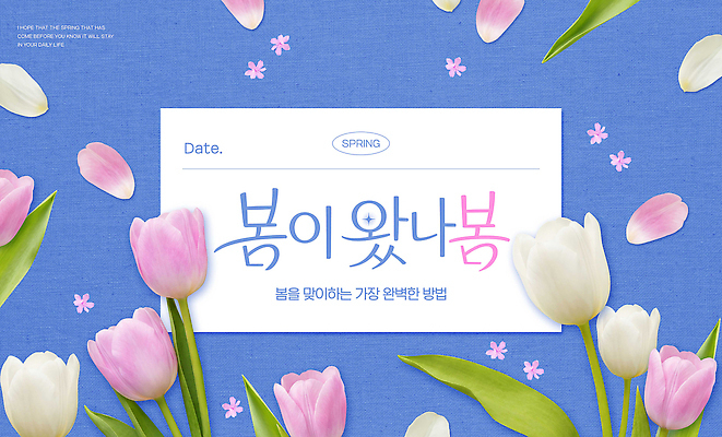 식물 편집이미지 계절 컨셉 컬러풀 생태계 파일형식 봄 꽃 백그라운드 메시지 알록달록 시작 자연 컬러 화사함 생명 화초 디자인 이벤트 이미지편집 PSD