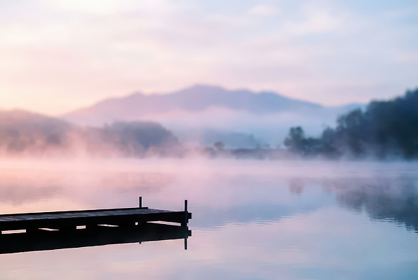 JPG 나무 편집이미지 호수 자연 하늘 아침 산 풍경 물 빛 항구 고요 안개 수면 경관 편집실사 AI포토 AI콘텐츠 주간 자연요소 식물 교통시설 날씨 CG 생태계 파일형식