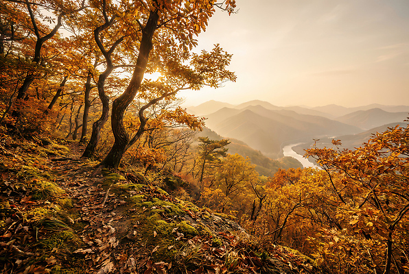 JPG 나무 편집이미지 여행 잎 자연 하늘 산 풍경 강 일출 주황색 일몰 등산 산길 편집실사 AI포토 AI콘텐츠 식물 길 컬러 노을 트래킹 CG 생태계 파일형식
