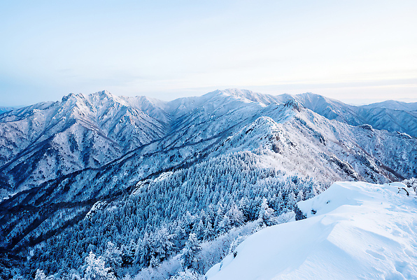 JPG 나무 편집이미지 겨울 자연 하늘 바람 산 풍경 차가움 숲 높이 눈덮임 편집실사 AI포토 AI콘텐츠 자연요소 식물 계절 컨셉 날씨 CG 생태계 파일형식