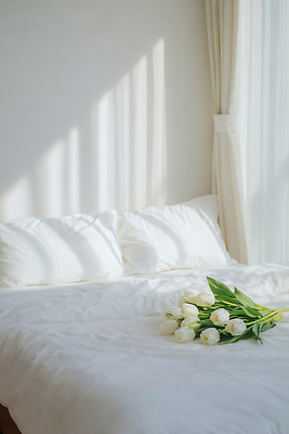 JPG 식물 편집이미지 꽃 창문 자연 아침 실내 장식 햇빛 침실 방 흰색 침대 분위기 평상 편집실사 AI포토 AI콘텐츠 주간 컬러 가구 컨셉 내부 태양 CG 생태계 파일형식