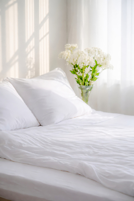 JPG 식물 편집이미지 꽃 창문 유리 아침 인테리어 햇빛 공간 침실 방 흰색 침대 편안함 Vase 편집실사 AI포토 AI콘텐츠 주간 디자인 컬러 가구 재질 태양 감각 CG 파일형식