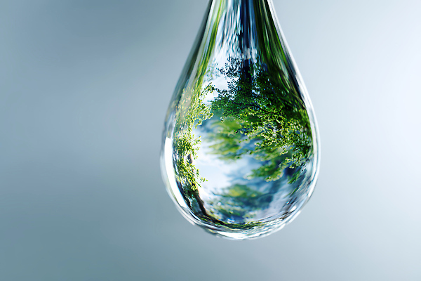 JPG 나무 편집이미지 자연 하늘 조명 초록색 물 세계 반사 환경 물방울 숲 오브젝트 수분_꽃가루 이미지편집 AI컴퓨터그래픽 AI콘텐츠 자연요소 식물 컬러 생태계 파일형식