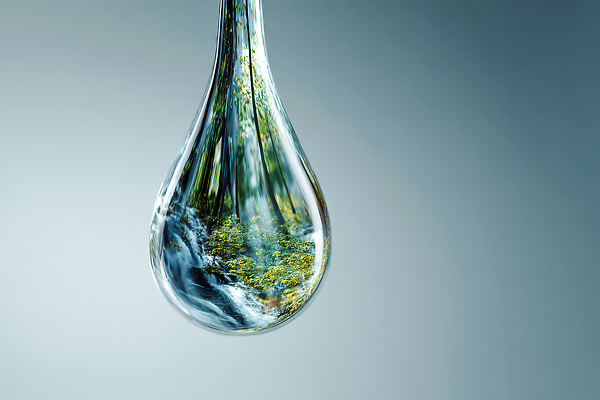 JPG 나무 편집이미지 자연 물 반사 환경 흐름 탐험 광선 물방울 숲 생태계 이미지 장면 뷰티풀 이미지편집 AI컴퓨터그래픽 AI콘텐츠 자연요소 식물 컨셉 파일형식