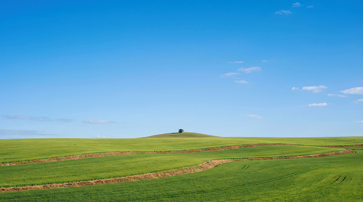 JPG 나무 편집이미지 농업 자연 하늘 산 풍경 초원 파란색 농장 일출 환경 멀리 편집실사 AI포토 AI콘텐츠 식물 산업 컬러 노을 CG 생태계 파일형식