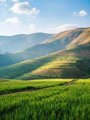 JPG 주간 편집이미지 자연 하늘 산 거리 풍경 초원 초록색 농작물 햇빛 촬영 성장 언덕 편집실사 AI포토 AI콘텐츠 자연요소 컬러 농업 태양 CG 생태계 파일형식