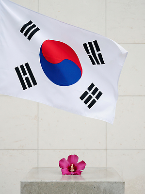 JPG 식물 편집이미지 꽃 문화 상징 분홍색 자연 바람 기념 한국 야외 촬영 국기 태극기 기념비 삼일절 무궁화 조화 편집실사 AI포토 AI콘텐츠 자연요소 아시아 컬러 날씨 공휴일 국경일 CG 생태계 파일형식