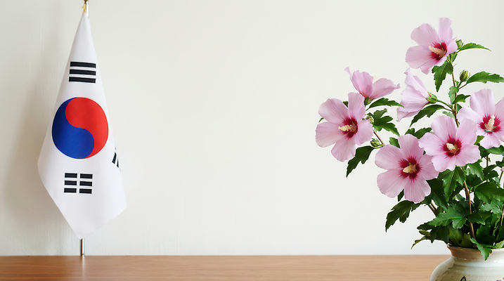 JPG 식물 편집이미지 전통 화분 문화 탁자 한국 실내 장식 봄 국기 태극기 삼일절 장면 무궁화 국민 뷰티풀 편집실사 AI포토 AI콘텐츠 계절 꽃 아시아 가구 내부 공휴일 국경일 CG 파일형식