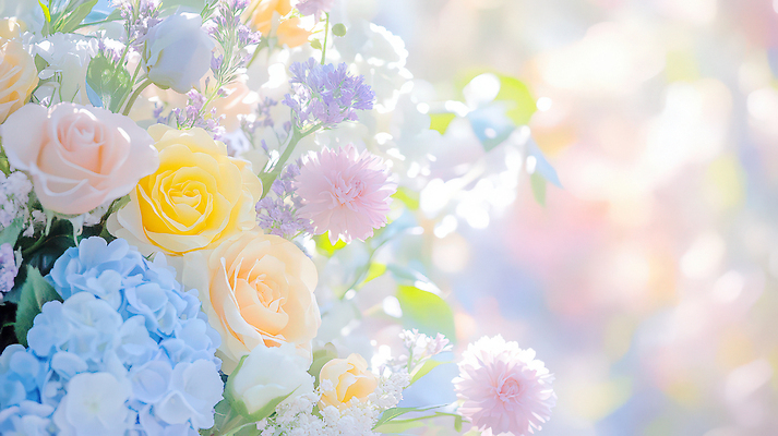 JPG 편집이미지 꽃잎 꽃 화분 컬러 꽃다발 백그라운드 자연 국화 장식 장미 봄 원예 수국 뷰티풀 편집실사 AI컴퓨터그래픽 AI콘텐츠 식물 계절 취미 CG 생태계 파일형식