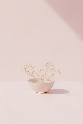 JPG 식물 편집이미지 그릇 디자인 꽃 분홍색 백그라운드 자연 생명 그림자 빛 인테리어 흰색 오브젝트 식물원 조화 편집실사 AI포토 AI콘텐츠 식기 컬러 CG 생태계 파일형식