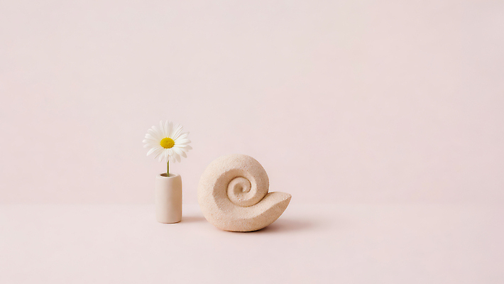 JPG 편집이미지 디자인 꽃 예술 꽃다발 백그라운드 자연 탁자 조개 실내 장식 꽃병 흰색 오브젝트 스타일 편집실사 AI포토 AI콘텐츠 식물 컬러 가구 어패류 내부 CG 생태계 파일형식