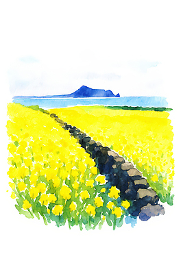 JPG 식물 바다 섬 여행 꽃밭 일러스트 자연 하늘 풍경 해변 여름 제주도 노란색 유채 돌길 제주도여행 출사 국내일러스트 AI일러스트 AI콘텐츠 계절 꽃 길 컬러 한국 사진촬영 생태계 파일형식