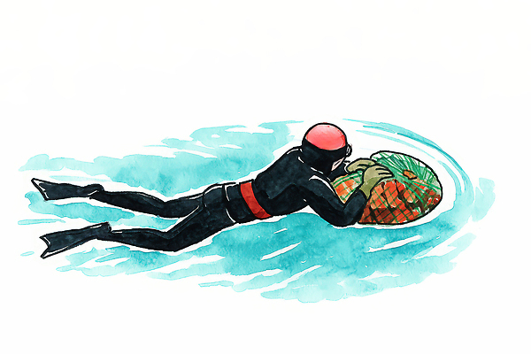 JPG 바다 컬러 포즈 일러스트 모션 안전 수중 수영 장비 교양 탐험 잠수부 보호장비 해산물 오브젝트 깊이 수색 제주도여행 국내일러스트 AI일러스트 AI콘텐츠 여행 제주도 수상스포츠 전문직 파일형식