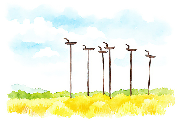 JPG 동물 일러스트 자연 조류 하늘 수채화 풍경 초원 일상 장식 초록색 파란색 물감 농촌 기둥 그림 작품 제주도여행 풍경화 국내일러스트 AI일러스트 AI콘텐츠 건축 컬러 여행 미술 라이프 제주도 미술도구 시골 생태계 파일형식