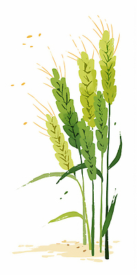 JPG 식물 줄기 잎 밭 농업 일러스트 자연 생명 곡류 씨앗 초록색 농작물 햇빛 농장 노란색 환경 농사 수확 성장 밀 소만 국내일러스트 AI일러스트 AI콘텐츠 산업 컬러 태양 생태계 파일형식