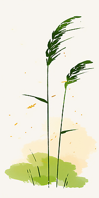 JPG 모양 식물 꽃 줄기 컬러 백그라운드 농업 일러스트 자연 바람 풍경 초원 여름 농작물 환경 성장 흔들림 뷰티풀 소만 국내일러스트 AI일러스트 AI콘텐츠 자연요소 계절 산업 모션 날씨 생태계 파일형식