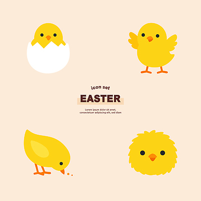 동물 캐릭터 디자인 일러스트 부활절 병아리 그래픽 세트 노란색 걷기 귀여움 알 출산 먹이 국내일러스트 AI파일 기념일 컬러 컨셉 모션 조류 파일형식 벡터