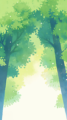 식물 계절 길 컬러 태양 생태계 파일형식 숲 나무 햇빛 초록색 자연 하늘 열매 잎 여름 풍경 환경 조용 거리 숲길 생명 대기 JPG 국내일러스트 일러스트