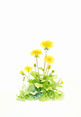 JPG 식물 꽃 줄기 일러스트 자연 생명 잔디 초원 초록색 햇빛 노란색 환경 봄 성장 민들레 생태계 뿌리 자원 국내일러스트 AI일러스트 AI콘텐츠 계절 컬러 태양 파일형식