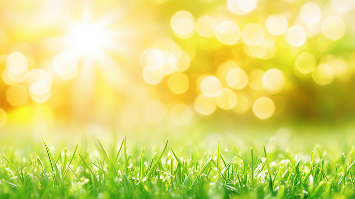 JPG 주간 식물 편집이미지 백그라운드 자연 건강 잔디 초록색 여름 빛 햇빛 봄 성장 원형 방광 뷰티풀 이미지편집 AI컴퓨터그래픽 AI콘텐츠 자연요소 도형 계절 컬러 태양 비뇨기관 생태계 파일형식