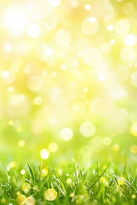 JPG 편집이미지 감정 자연 따뜻함 풍경 잔디 초원 초록색 여름 빛 햇빛 반사 환경 봄 성장 물방울 땅 이미지편집 AI컴퓨터그래픽 AI콘텐츠 식물 계절 컬러 태양 생태계 파일형식