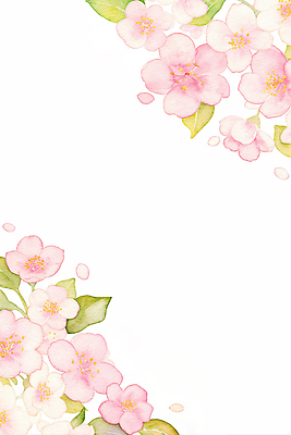 JPG 디자인 꽃잎 꽃 예술 분홍색 컬러 백그라운드 잎 일러스트 자연 풍경 일상 장식 초록색 봄 벚꽃 배열 오브젝트 문서 심플 뷰티풀 테마 프로젝트 국내일러스트 AI일러스트 AI콘텐츠 식물 계절 라이프 생태계 파일형식