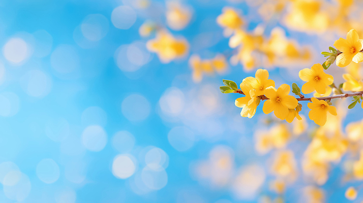 JPG 나무 식물 편집이미지 계절 꽃잎 꽃 백그라운드 잎 자연 하늘 생명 바람 풍경 햇빛 봄 개나리 보케 이미지편집 AI컴퓨터그래픽 AI콘텐츠 자연요소 날씨 태양 생태계 파일형식