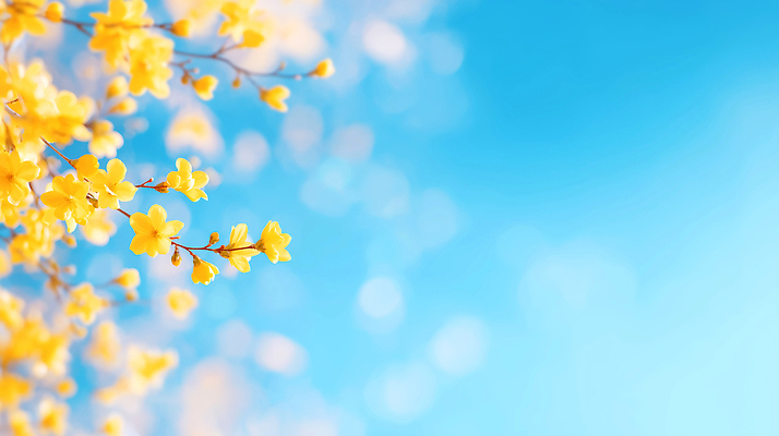 JPG 식물 편집이미지 계절 꽃 백그라운드 잎 자연 하늘 야외 파란색 봄 나뭇가지 개나리 흔들림 보케 뷰티풀 이미지편집 AI컴퓨터그래픽 AI콘텐츠 나무 컬러 모션 생태계 파일형식