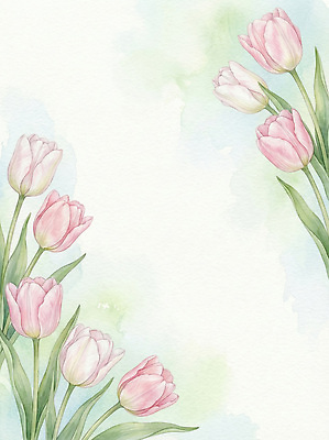 JPG 식물 꽃 예술 분홍색 백그라운드 잎 꽃밭 일러스트 자연 수채화 프레임 그래픽 정원 봄 튤립 식물원 이미지 화사함 국내일러스트 AI일러스트 AI콘텐츠 계절 컬러 컨셉 생태계 파일형식