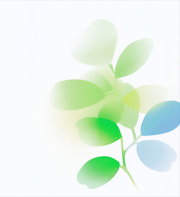 JPG 모양 식물 컬러 백그라운드 잎 일러스트 자연 아침 회화 초록색 시작 부드러움 일과 디지털아트 국내일러스트 AI일러스트 AI콘텐츠 주간 말하기 감각 생태계 파일형식