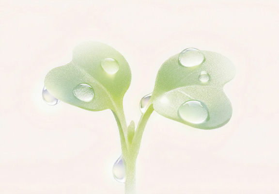 JPG 식물 잎 농업 일러스트 자연 생명 씨앗 농작물 새싹 환경 희망 촉촉함 성장 물방울 이슬 원예 촉진 수분_꽃가루 국내일러스트 감정 산업 취미 진료 젖음 생태계 파일형식