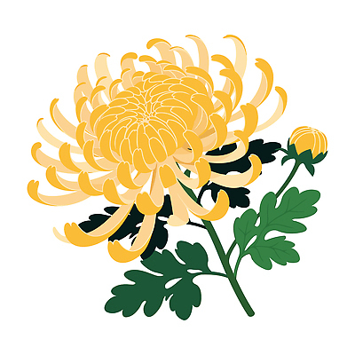 식물 꽃 화초 컬러 꽃다발 잎 일러스트 자연 식탁 국화 풍경 노란색 정원 오브젝트 원예 봉오리 조화 꽃놀이 뷰티풀 국내일러스트 AI파일 탁자 취미 축제 생태계 파일형식 벡터