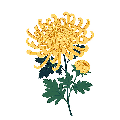 식물 꽃잎 꽃 화초 음식 줄기 컬러 잎 일러스트 가정 자연 국화 초록색 봄 성장 원예 봉우리 조화 국내일러스트 AI파일 계절 취미 생태계 파일형식 벡터