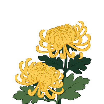 식물 디자인 꽃 줄기 백그라운드 잎 일러스트 자연 생명 국화 노란색 원형 두송이 그림 조화 국내일러스트 AI파일 도형 컬러 2 생태계 파일형식 벡터