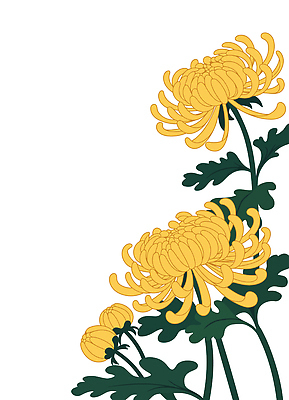 식물 꽃잎 화초 줄기 컬러 백그라운드 잎 일러스트 자연 생명 국화 장식 여름 정원 봄 성장 꽃꽂이 원예 뷰티풀 국내일러스트 AI파일 계절 꽃 취미 생태계 파일형식 벡터