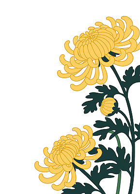 식물 꽃 화분 컬러 잎 일러스트 자연 생명 한국 국화 장식 노란색 정원 성장 원형 향기 원기둥 봉오리 뷰티풀 국내일러스트 AI파일 도형 아시아 생태계 냄새 파일형식 벡터