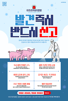 편집이미지 서양음식 피곤 관리 경고 농장 정보 돼지 사회이슈 검사_조사 예방 전염 방역 아프리카돼지열병 확산 이미지편집 AI파일 음식 컨셉 농업 포유류 질병 감염 파일형식 벡터 돼지전염병