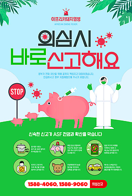 편집이미지 포스터 생명 건강 관리 안전 농장 정보 돼지 바이러스 사회이슈 예방 전화번호 방법 신고 전염병 아프리카돼지열병 이미지편집 AI파일 컨셉 농업 포유류 질병 파일형식 벡터 돼지전염병