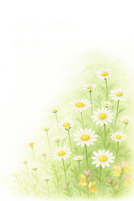 식물 계절 꽃 컬러 컨셉 취미 상점 생태계 파일형식 AI콘텐츠 데이지 초원 화초 자연 정원 여름 화사함 원예 화분 꽃밭 꽃집 노란색 흰색 꽃잎 생명 일러스트 국내일러스트 JPG AI일러스트