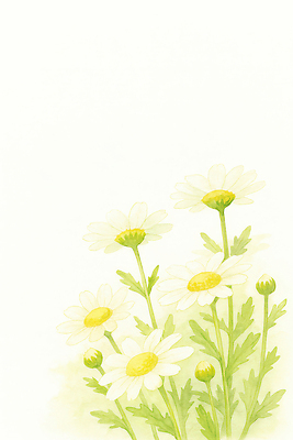 식물 꽃 컬러 취미 생태계 파일형식 AI콘텐츠 국화 정원 식물원 자연 초록색 흰색 노란색 잎 꽃밭 생명 성장 원예 화초 일러스트 국내일러스트 JPG AI일러스트